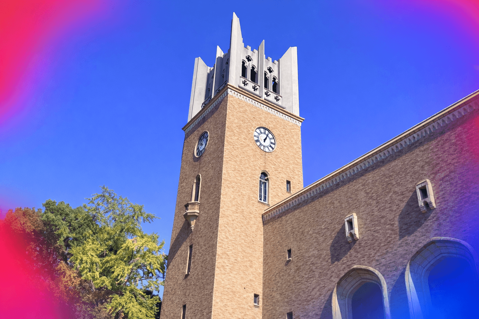 早稲田大学の写真